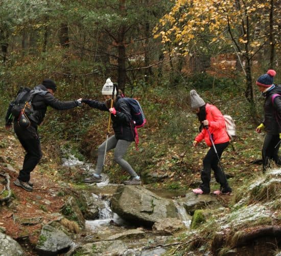 Un guía ayuda a cruzar un arroyo en el bosque
