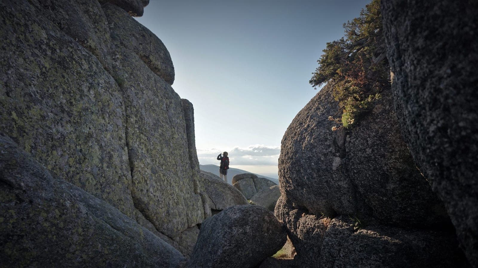 Montón de Trigo por 7 Picos