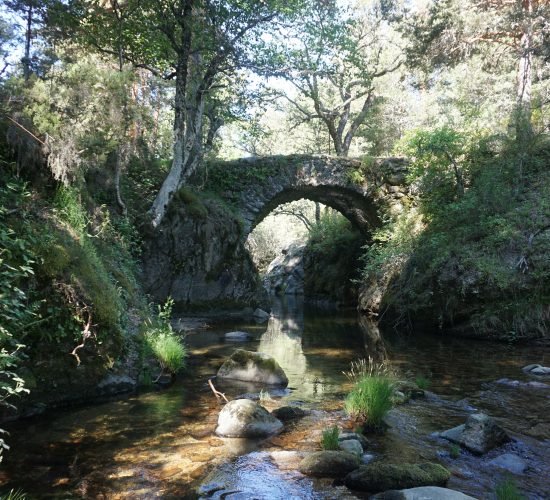 Puente de la Angostura