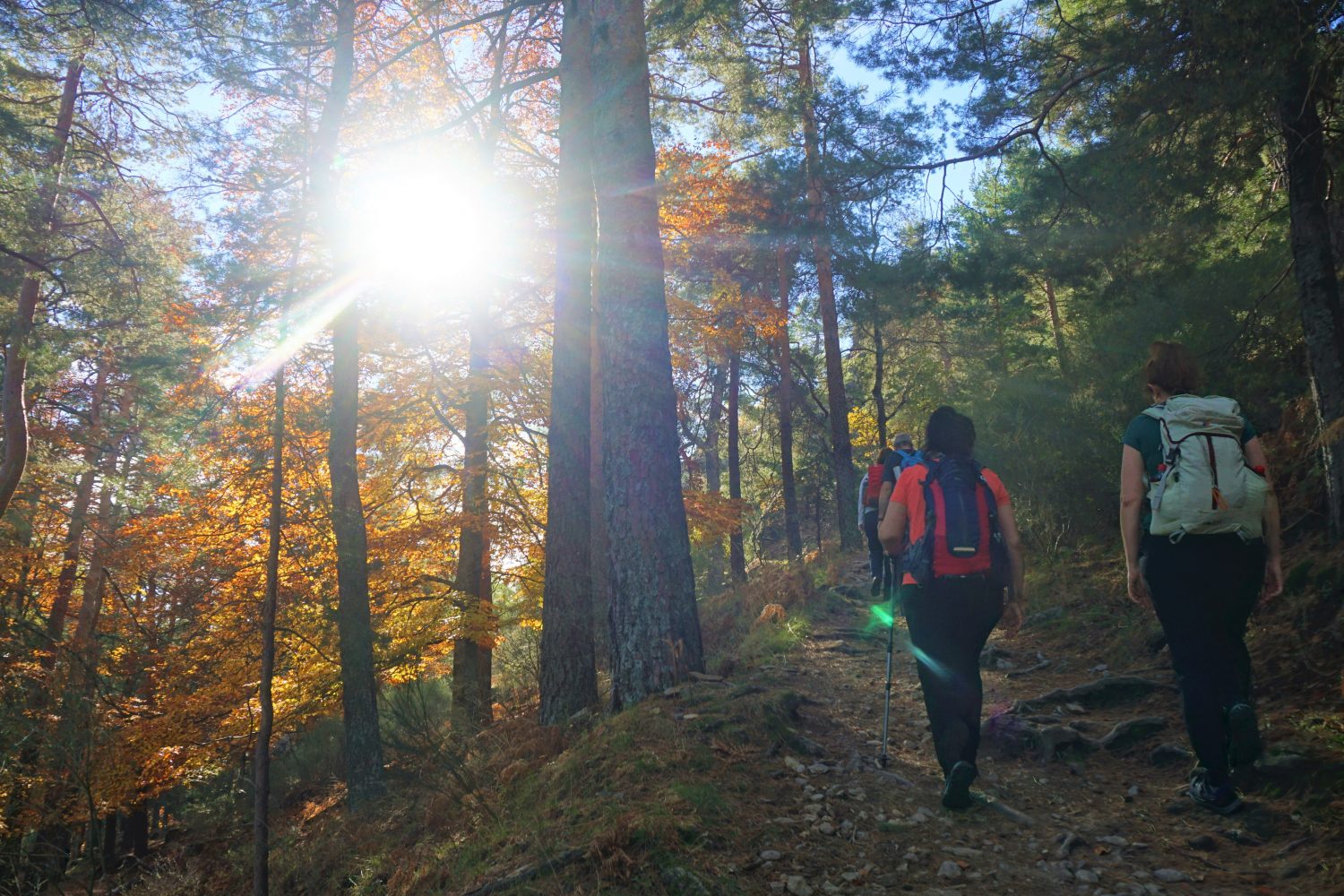 senderismo madrid hayedo escondido otoño trekking 0484