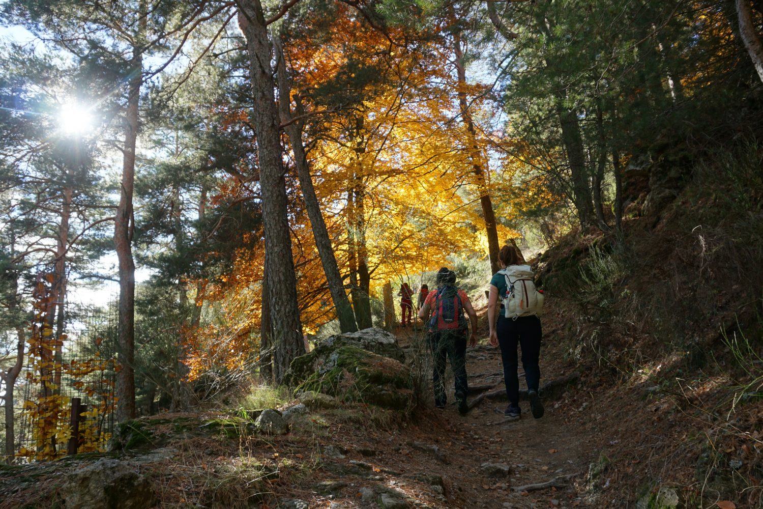 senderismo madrid hayedo escondido otoño trekking 0490