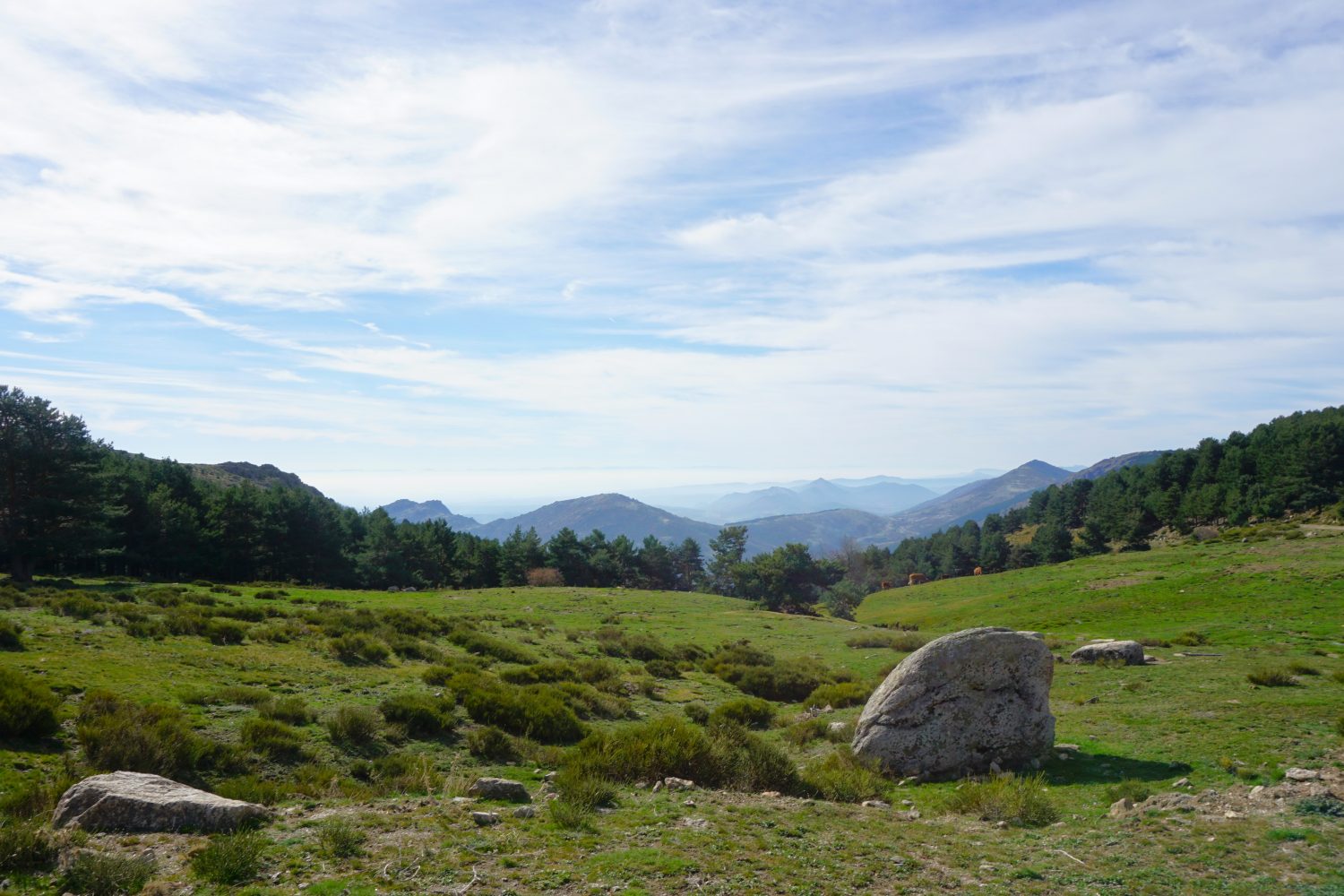 senderismo madrid hayedo escondido otoño trekking 00525