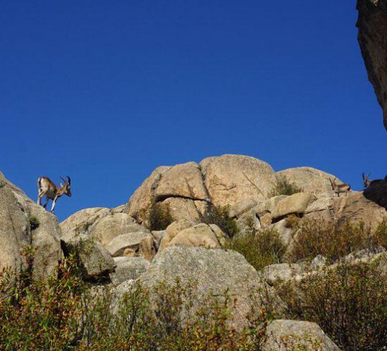 WhatsApp Image 2019-09-08 at 21.52.31