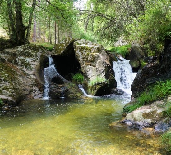 Senderismo Madrid, Pinar de los Belgas y angostura 5