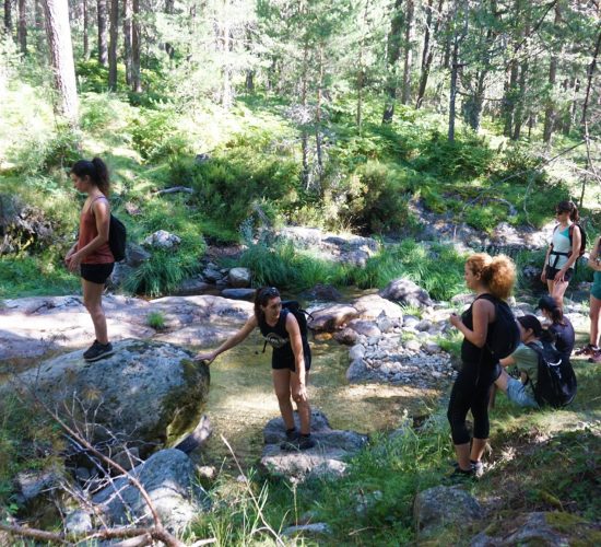 Senderismo Madrid, Pinar de los Belgas y angostura 15