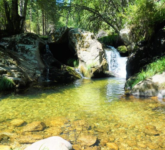 Senderismo Madrid, Pinar de los Belgas y angostura 21