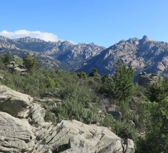 la pedriza los porrones