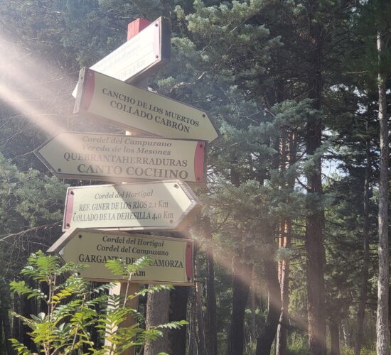 SENDERISMO MADRID EL CALIZ LA PEDRIZA 838