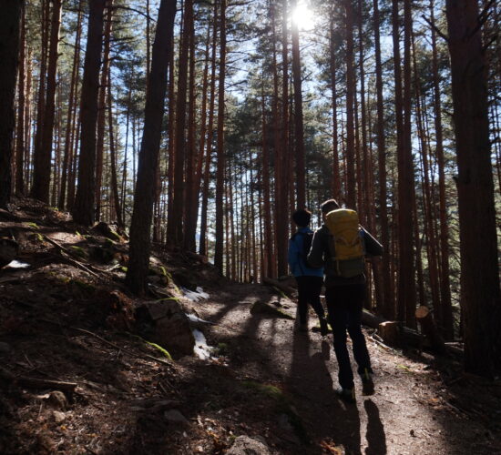 SENDERISMO MADRID EL CALIZ LA PEDRIZA 742