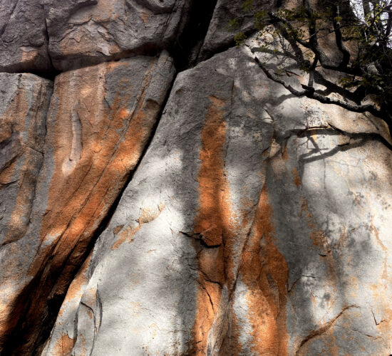 SENDERISMO MADRID EL CALIZ LA PEDRIZA _9870