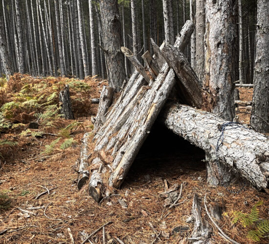 VSENDERISMO MADRID EL CALIZ LA PEDRIZA 87