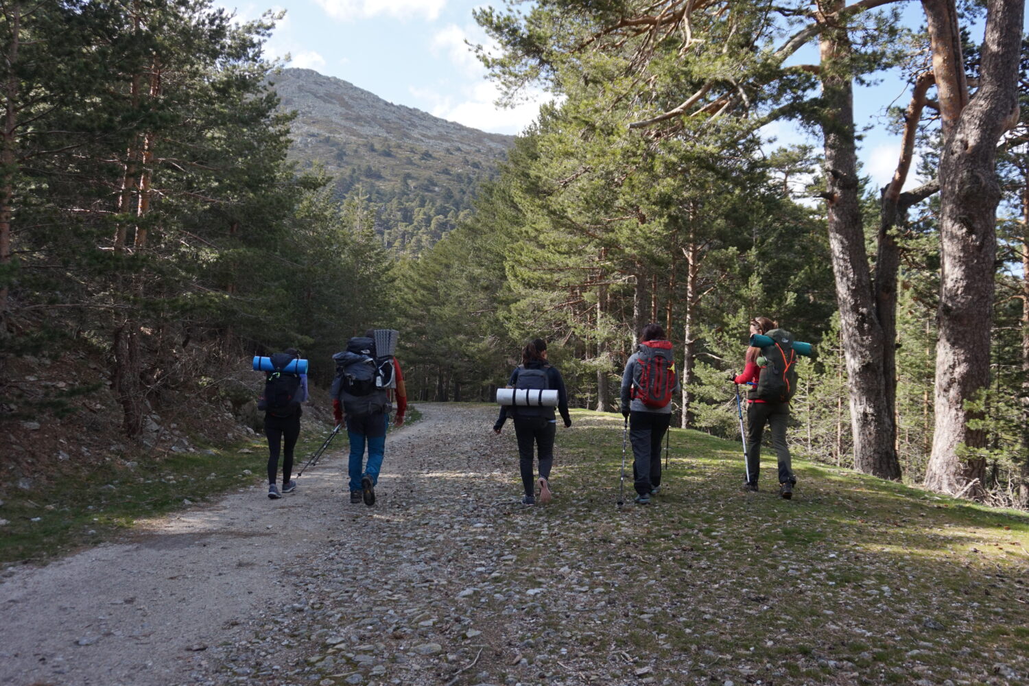 camino santiago madrid SC05739