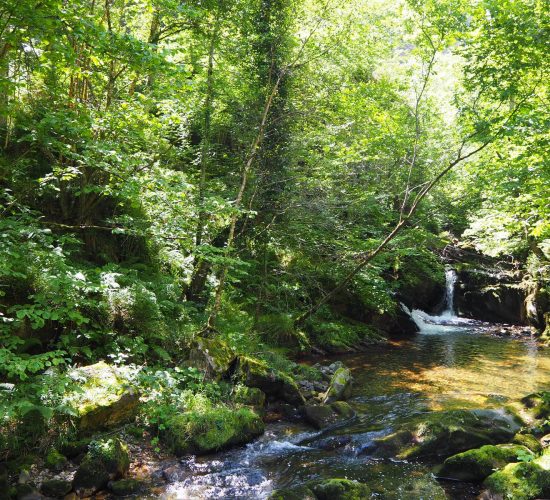 senderismo madrid trekking viaje redes asturias