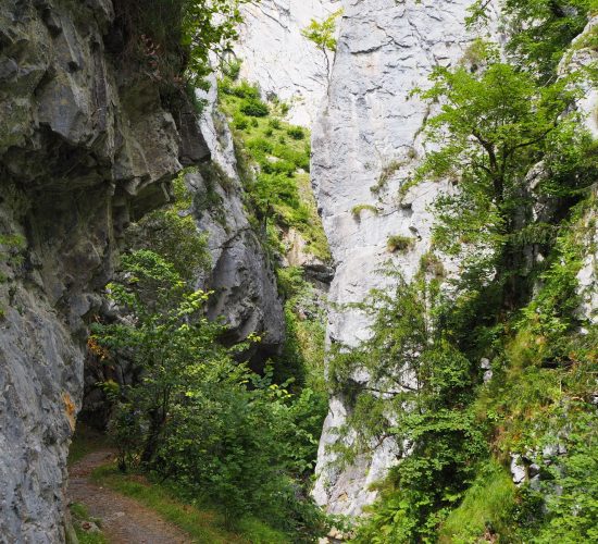 senderismo madrid trekking viaje redes asturias