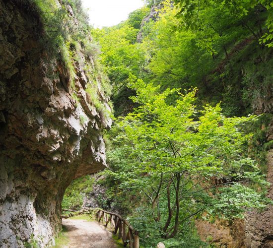senderismo madrid trekking viaje redes asturias