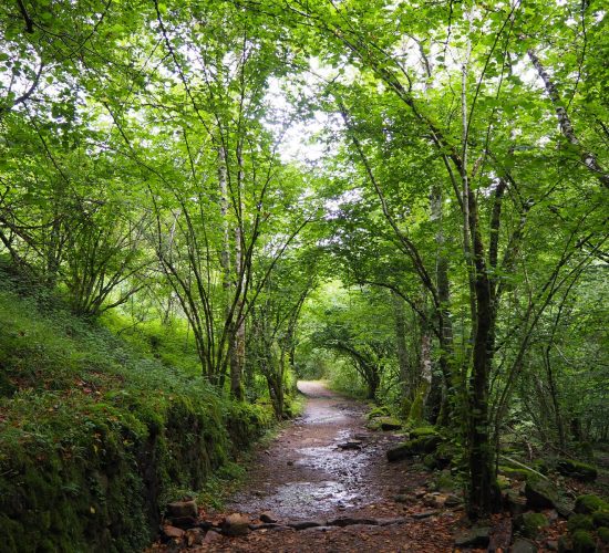 senderismo madrid trekking viaje redes asturias