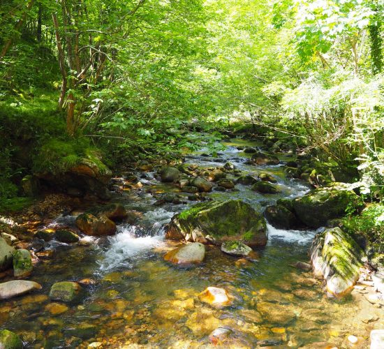 senderismo madrid trekking viaje redes asturias