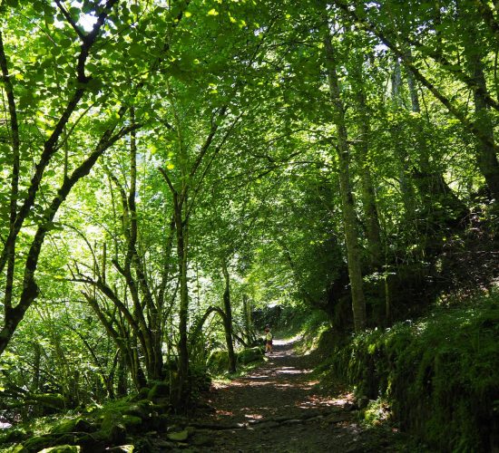senderismo madrid trekking viaje redes asturias