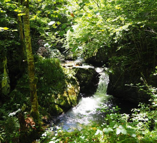 senderismo madrid trekking viaje redes asturias