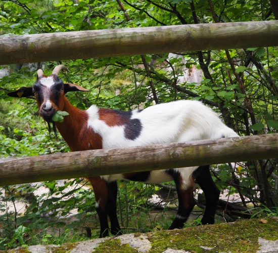 senderismo madrid trekking viaje redes asturias