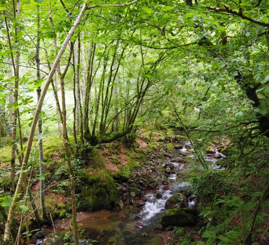 senderismo madrid trekking viaje redes asturias