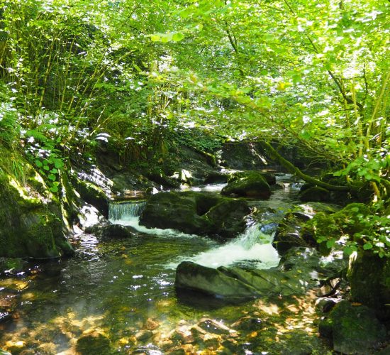 senderismo madrid trekking viaje redes asturias