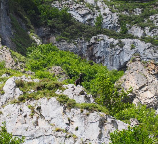 senderismo madrid trekking viaje redes asturias