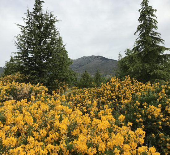 arcipestre de hita senderismo madrid trekking 16082683Master