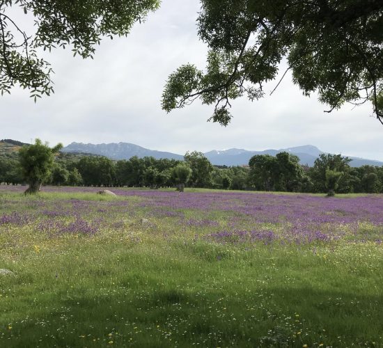 arcipestre de hita senderismo madrid trekking 16082695Master