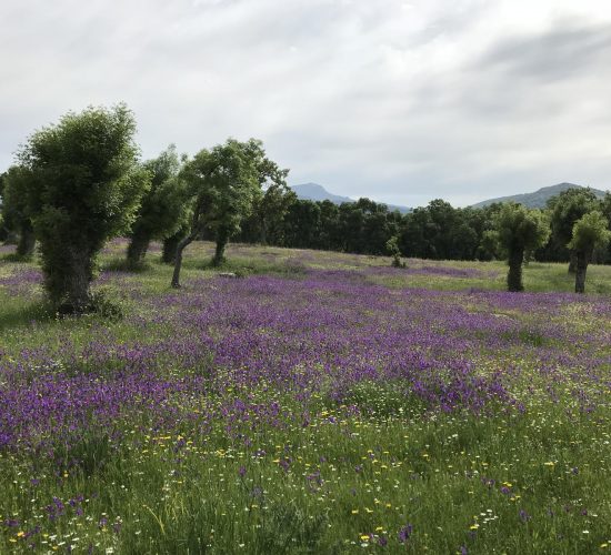 arcipestre de hita senderismo madrid trekking 16082723Master