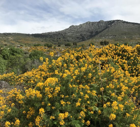 arcipestre de hita senderismo madrid trekking 16082724Master