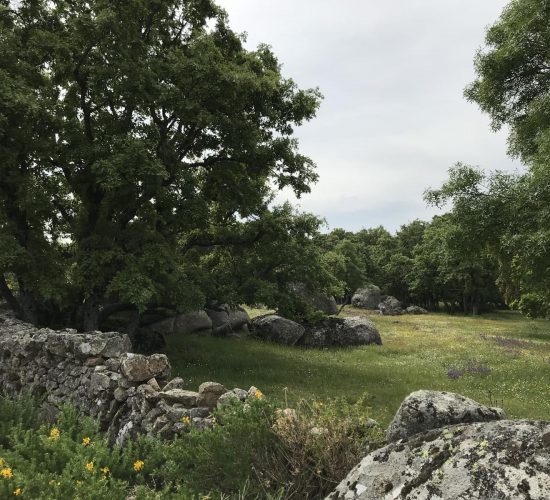 arcipestre de hita senderismo madrid trekking 16082725Master