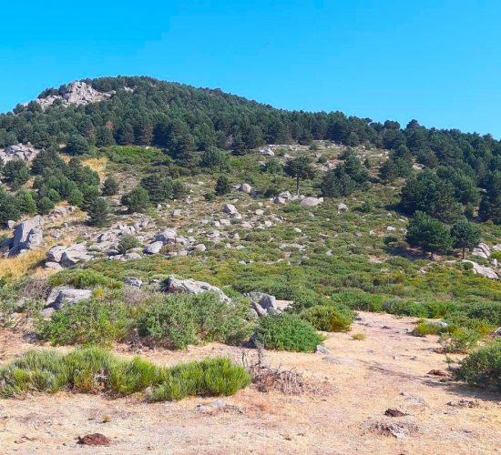 la peñota senderismo trekking madrid 69792208Master