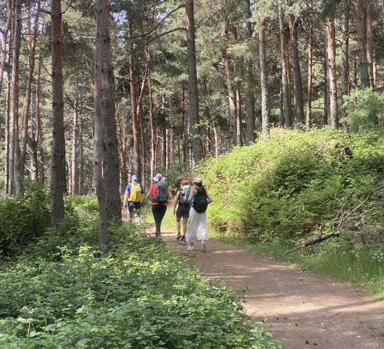 senderismo trekking madrid viajes aventura IMG_3796