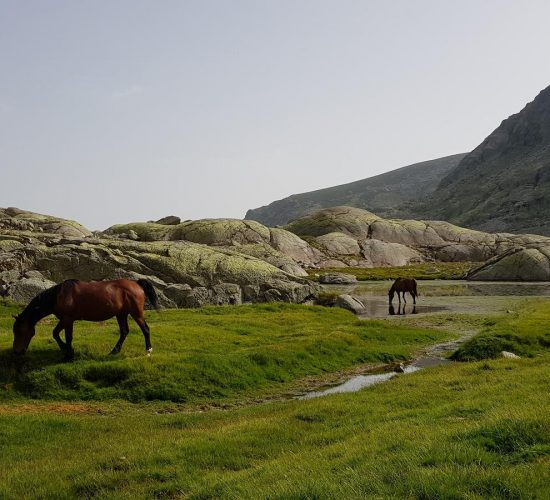 gredos rutas senderismo trekking 508