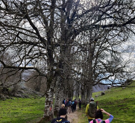 viaje aizkorri trekking senderismo IMG_20250418_110952 viaje aizkorri trekking senderismo