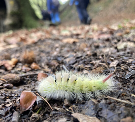 viaje aizkorri trekking senderismo IMG_2126