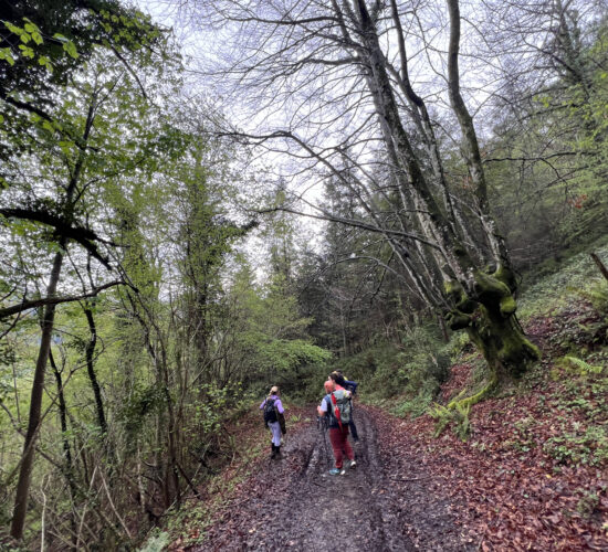 viaje aizkorri trekking senderismo IMG_5108 viaje aizkorri trekking senderismo
