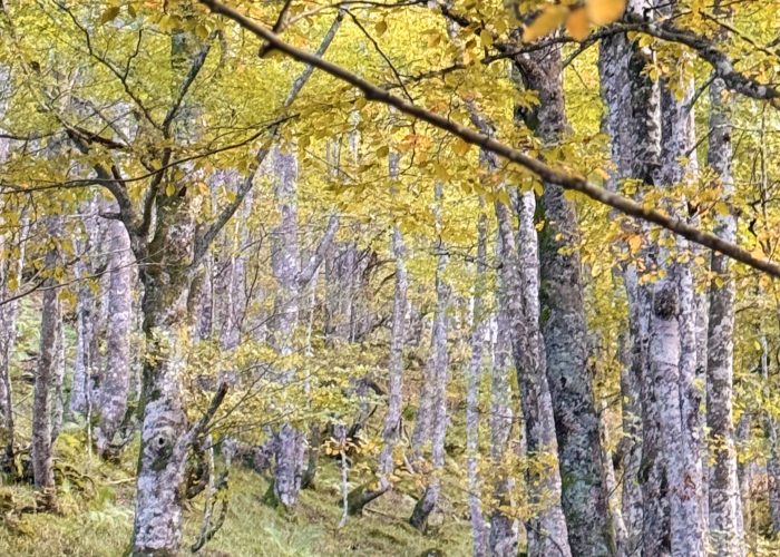 huertos del diablo y los garrafes, las ubiñas asturias 0