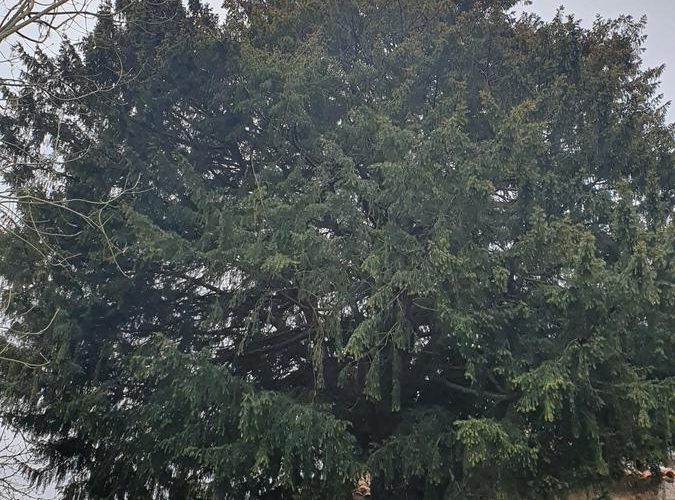 molinos de corroriu senda del oso 22