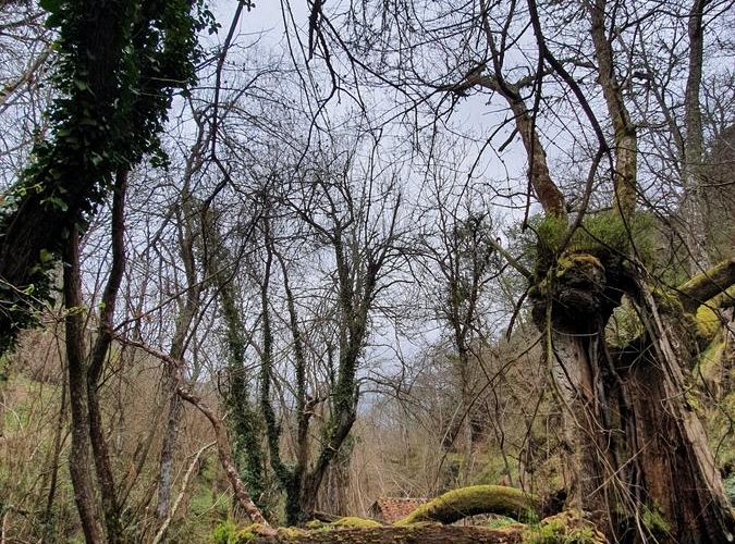 molinos de corroriu senda del oso 6