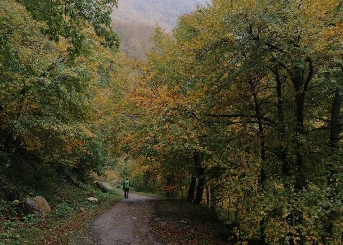 molinos de corroriu senda del oso ee