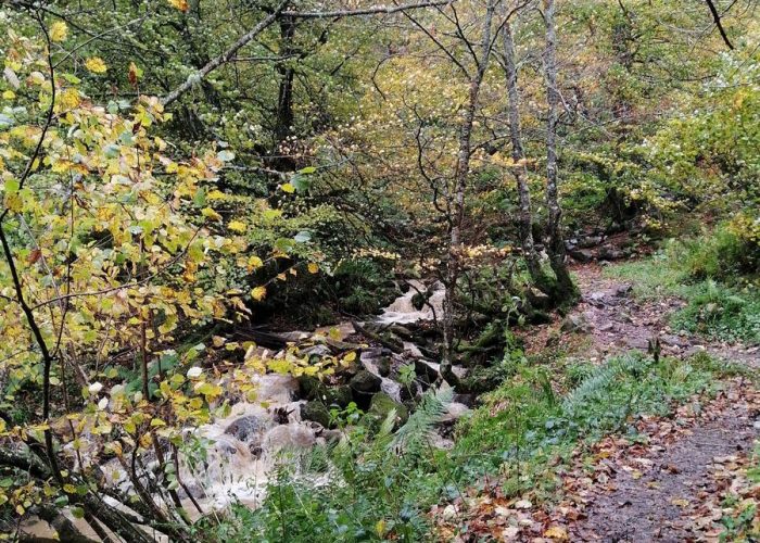 molinos de corroriu senda del oso 75409669Master