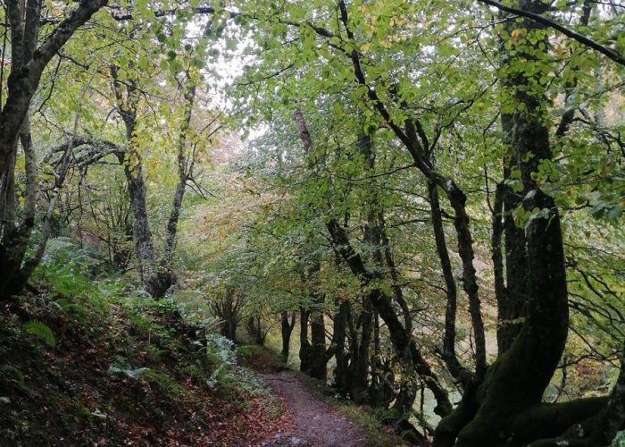 molinos de corroriu senda del oso 8