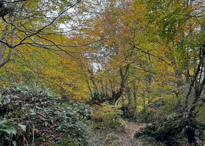 molinos de corroriu senda del oso 435