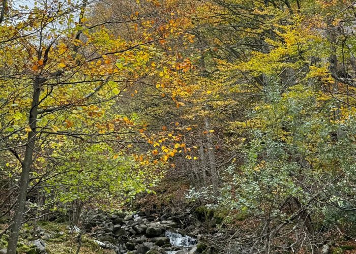 molinos de corroriu senda del oso 67544
