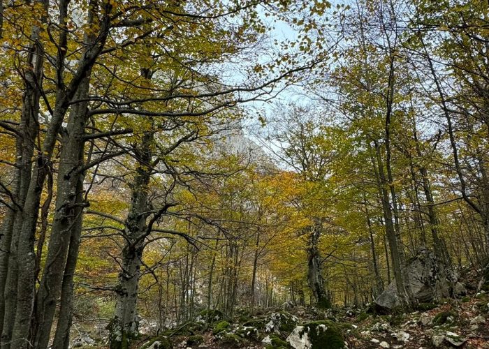 molinos de corroriu senda del oso 2435